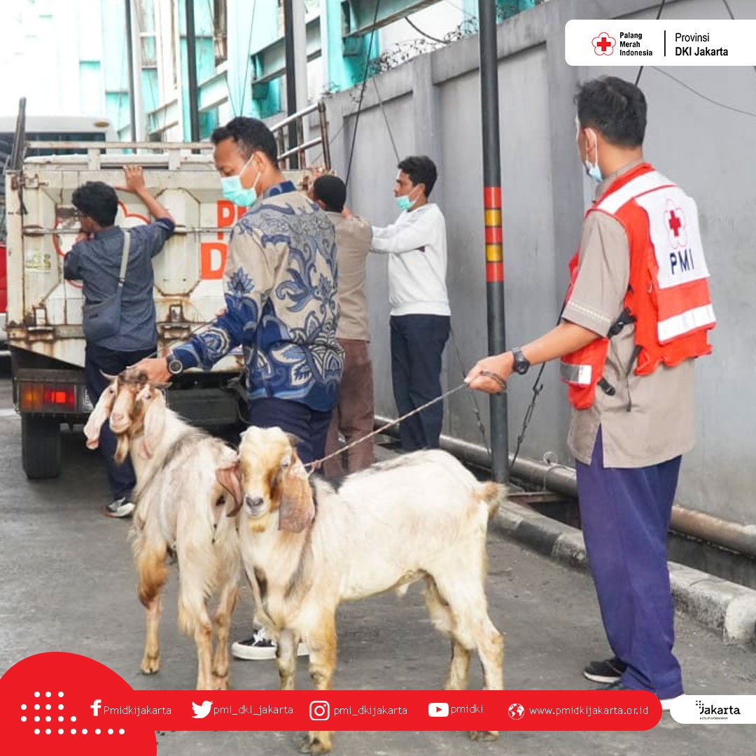 Maknai Idul Adha, Ketua PMI DKI : Jaga Silaturahmi dengan Saling Berbagi
