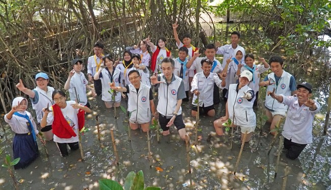 Peduli Lingkungan, Pelajar Indonesia – Jepang Tanam 100 Bibit Mangrove Di Kawasan Hutan Lindung Angke