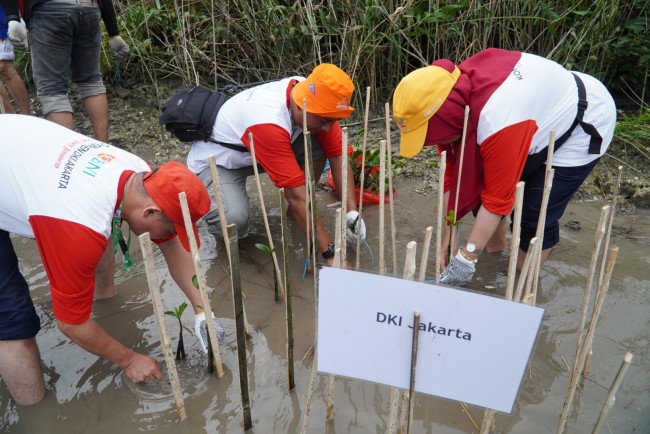 Kontingen DKI Jakarta Turut Berpartisipasi Dalam Penanaman 1.000 Bibit Mangrove
