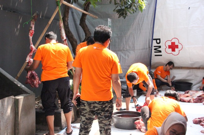 PMI Jakut Potong 12 Hewan Qurban Di Hari Raya Idul Adha 1445H