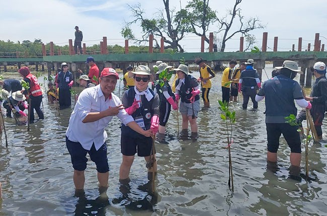 Peduli Lingkungan, Relawan Palang Merah Korea Tanam Mangrove di Pulau Untung Jawa
