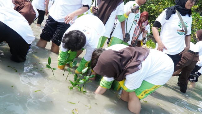 PMI Provinsi DKI Jakarta dan Palang Merah Korea Bersama Wujudkan Rainbow Forest Project di Pulau Tidung, Kepulauan Seribu