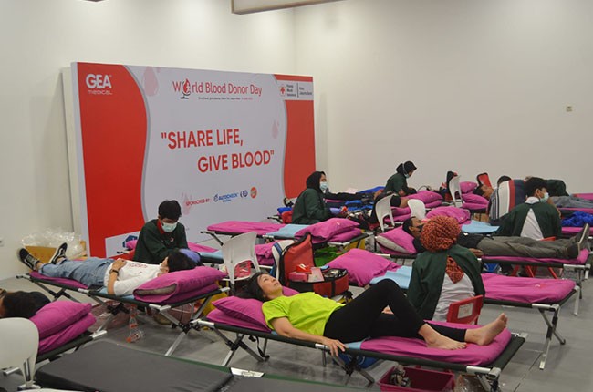 Sambut Hari Donor Darah Sedunia GEA Medical Gelar Donor Darah dan Berikan 10 Unit Kursi Roda